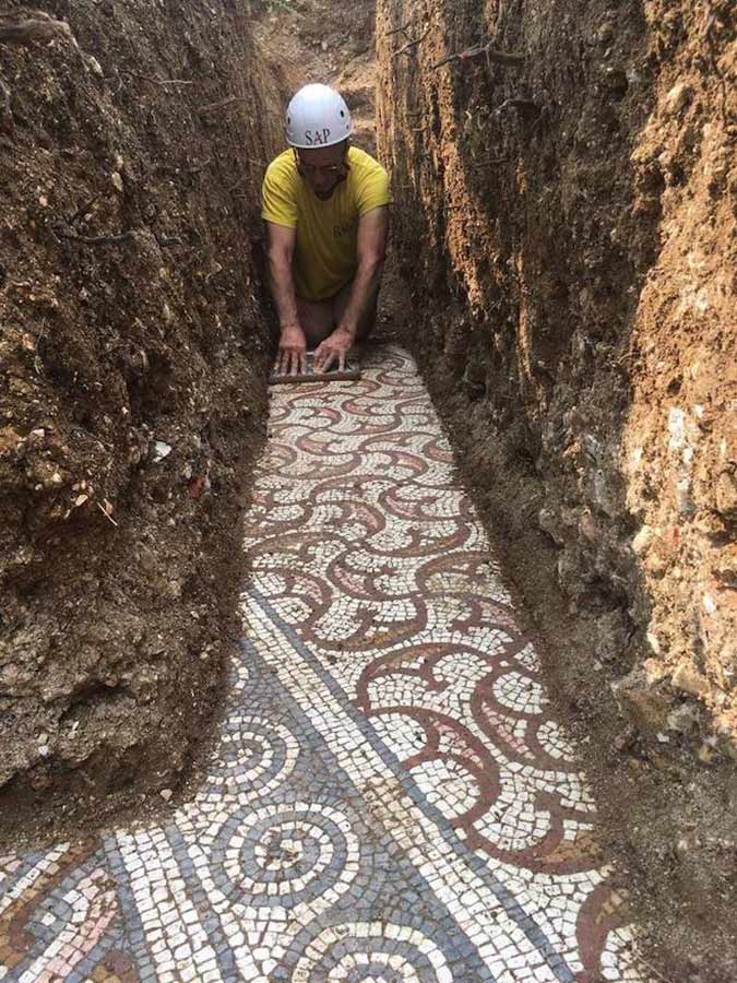 archaeological excavation under vineyard