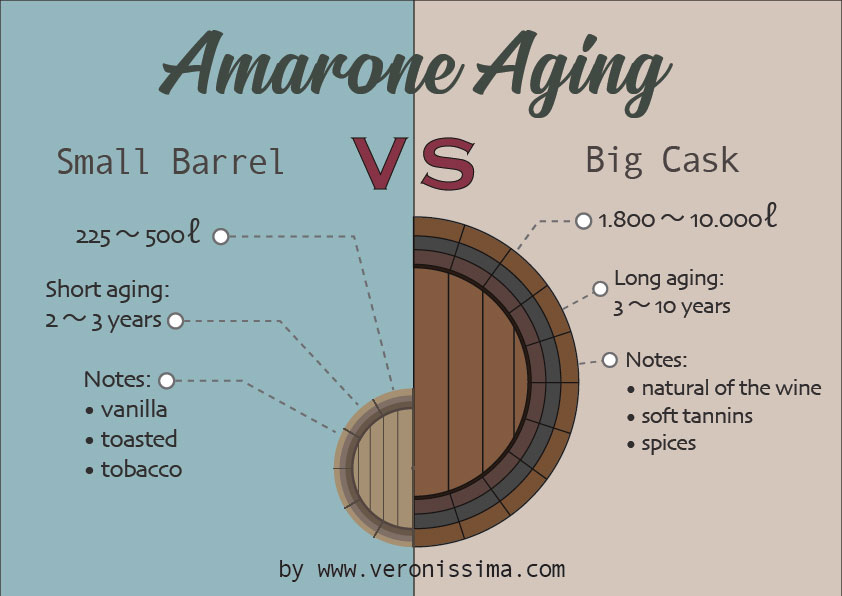 Infographic: Big barrel vs small barrel in the aging of Amarone