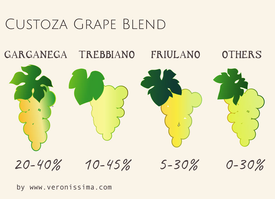 infographic of Custoza wine grape blend