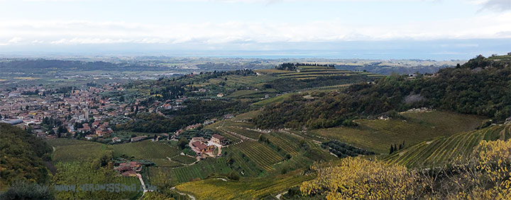 panoramic view of Valpolicella wine region with vineyards, hills and lake Garda in the background