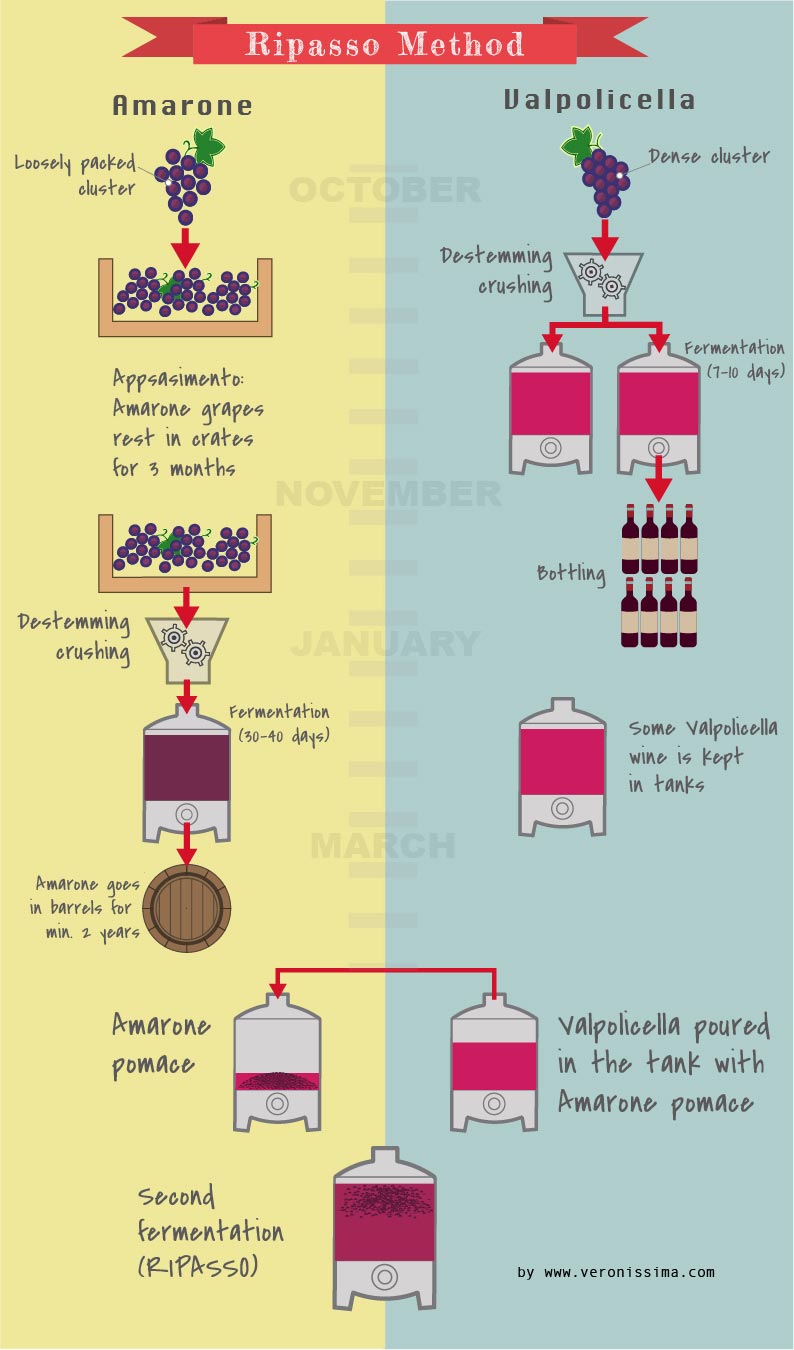 infographic explaining ripasso wine making process