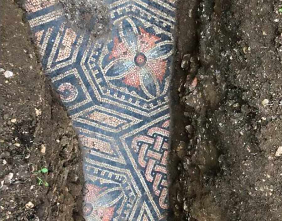 mosaic excavation under vineyard