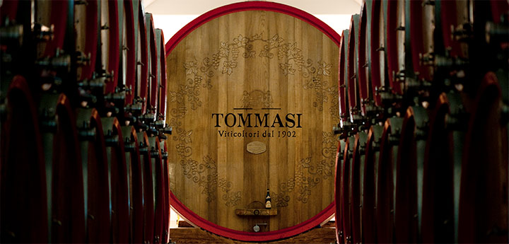 Valpolicella famous winery big barrels in a big cellar