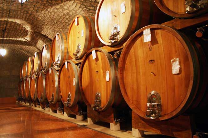 A cellar with big barrels
