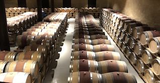 long rows of wine barrels