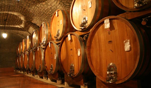 Barrels inside a cellar of Valpolicella