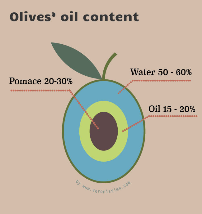 infographic with olive components percentages