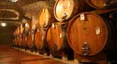 Cantina con grandi botti