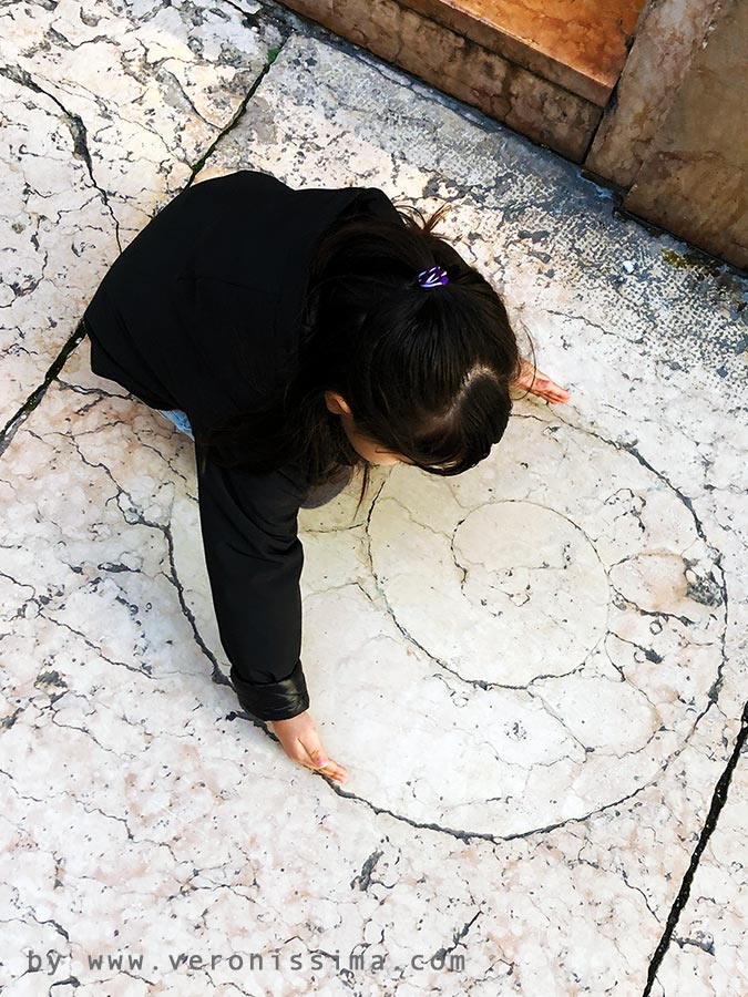 una bambina misura un fossile di ammonite su un marciapiede di Verona