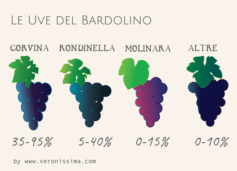 Illustrazione delle uve del blend del vino Bardolino