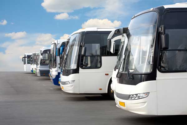 transport service transport and transfers from and to verona transport service transport and transfers from and to verona