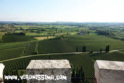 vini verona san martino