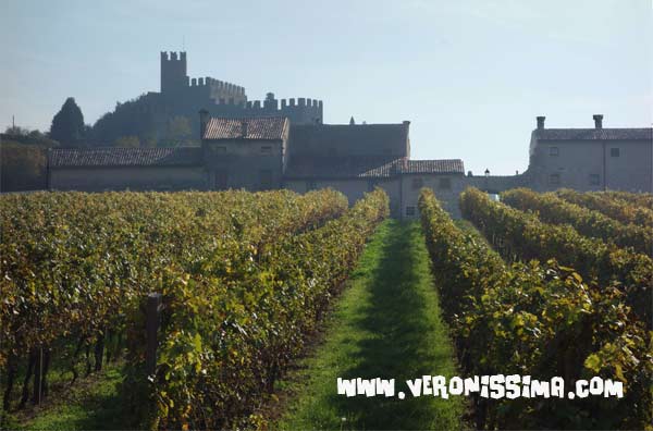 vini verona soave