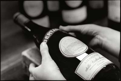 bertani wine tour