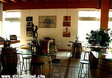 wine tasting custoza