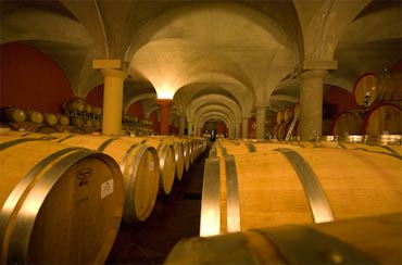 wine tours zeni cellar