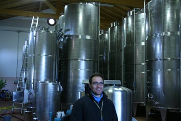 winery tour soave stefanini