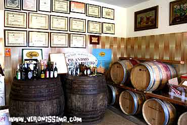 wine tours lugana pilandro
