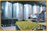 wine tours lugana pilandro
