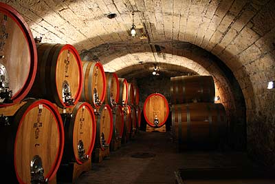santa sofia winery, the cellar