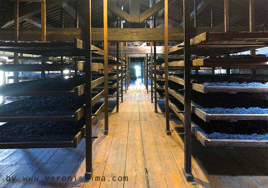 Drying loft for the drying of the grapes of Amarone wine