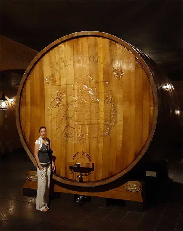Huge barrel for the aging of Amarone with a person in front for comparison