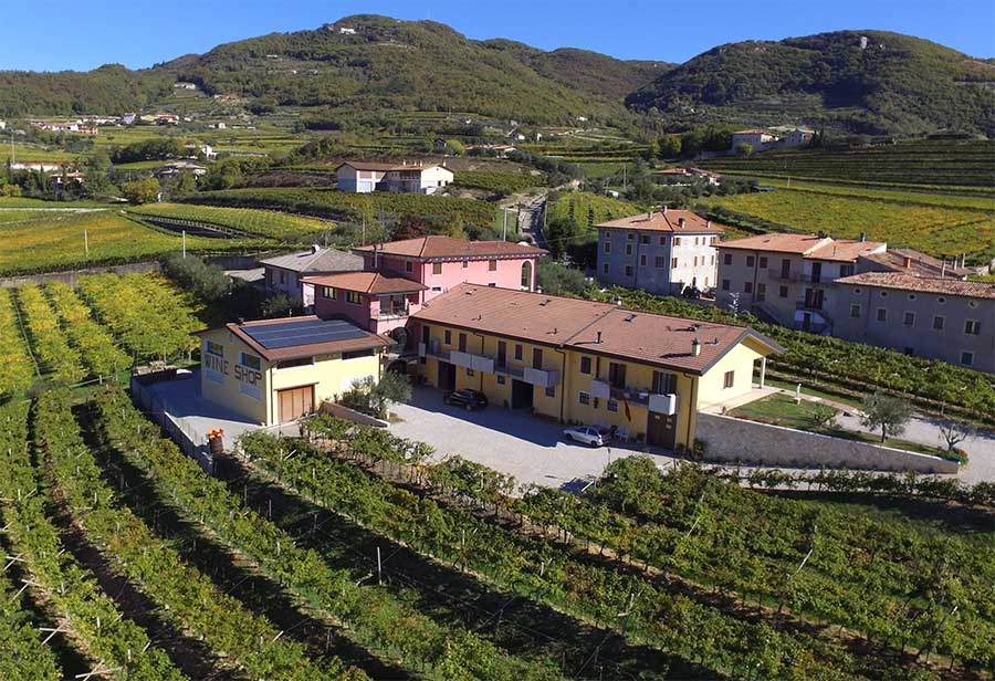 Cantina Fratelli Vogodari vista dall'alto circondata da vigneti