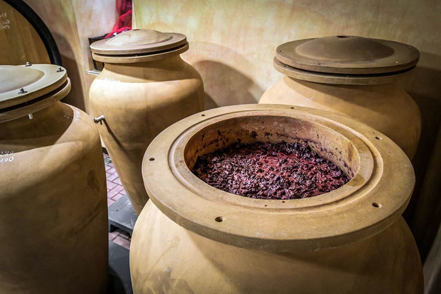 Fermentazione dell'Amarone in anfore di terracotta