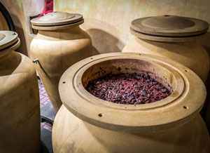 Amarone in amphora