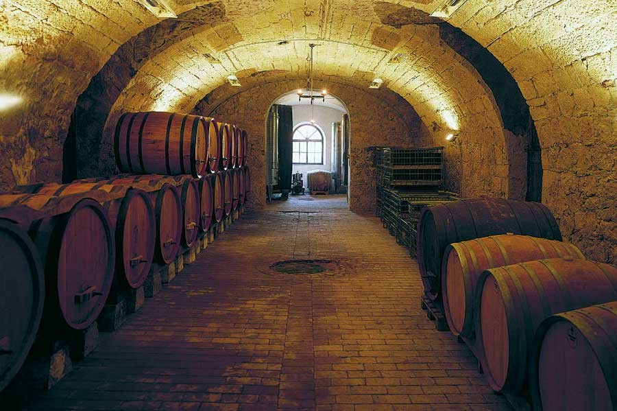 la cantina con volta in pietra dell'azienda vinicola Santa Sofia