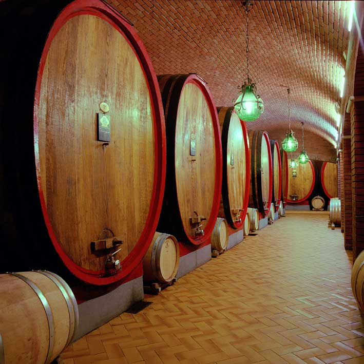 la bottaia delle cantine Allegrini