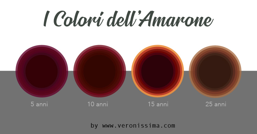 Schema del profilo cromatico dell'Amarone in relazione agli anni di invecchiamento