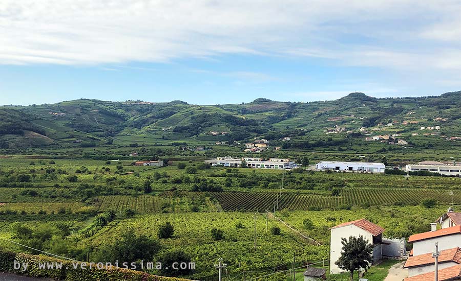 Panoramic view of one of the valleys of Durello wine producing region