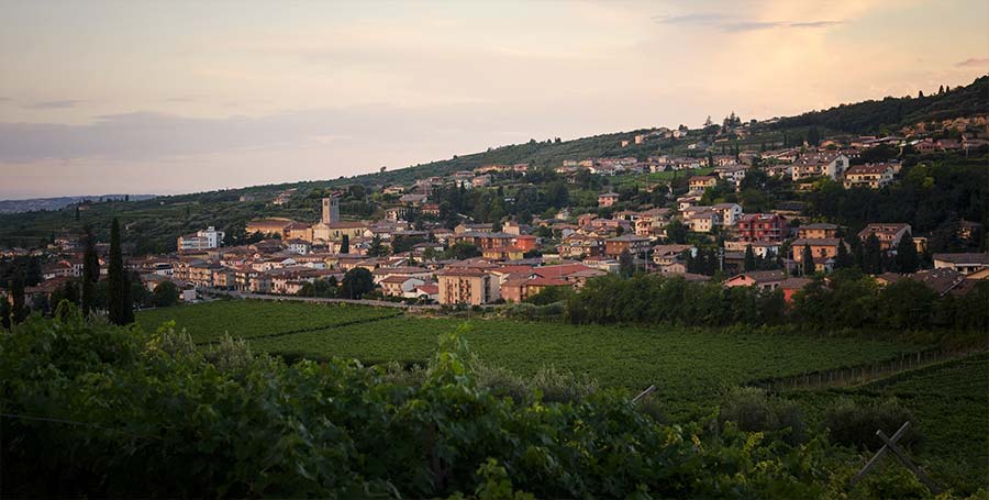 Il panorama dalla sala degustazione della cantina Fratelli Vogadori