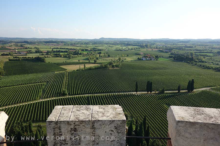 Lugana vineyards seen from above