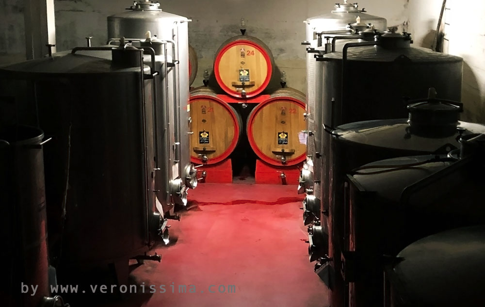 Fermentation vats and aging barrels