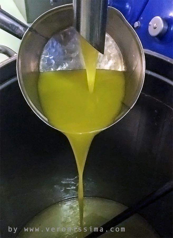 olio extravergine d'oliva appena spremuto