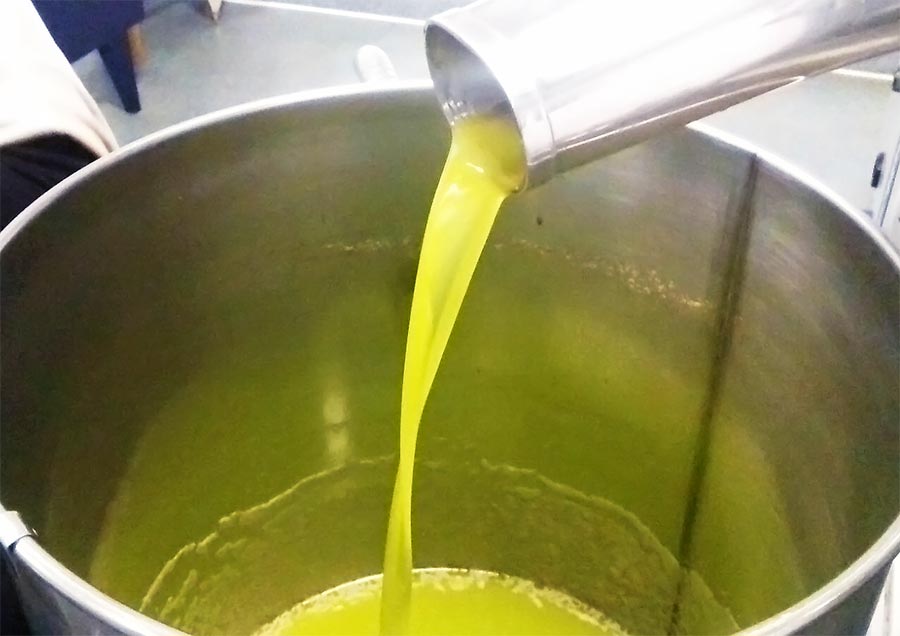 Olio d'oliva appena estratto