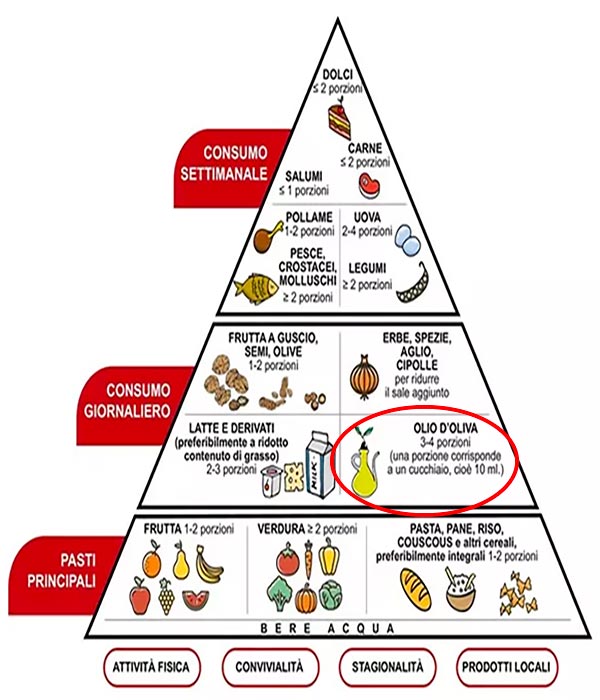 piramide alimntare