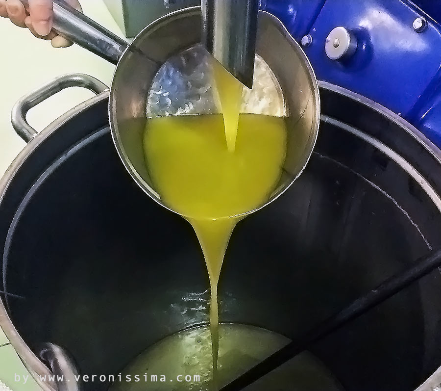Olio d'oliva appena spremuto in un frantoio