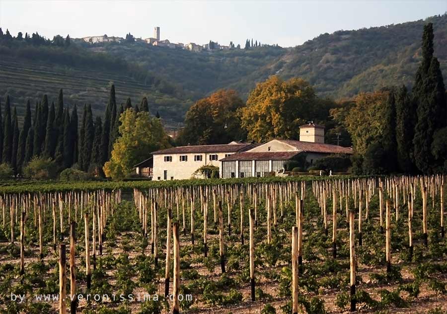 Front view of Serego Alighieri estate