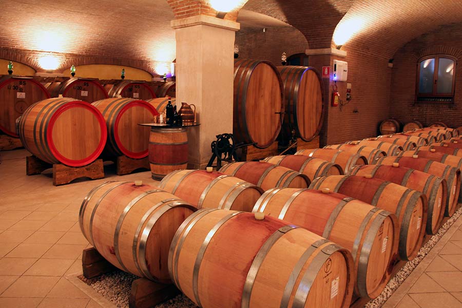 The cellar with big oak barrels and French barriques