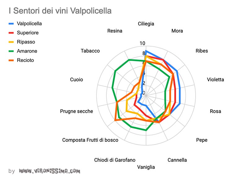 grafico a ragnatela dei sentori dei vini Valpolicella