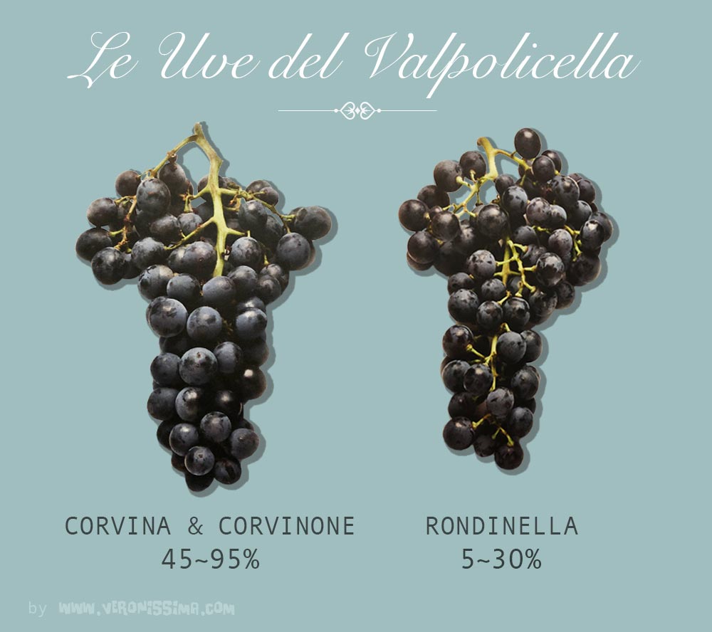 Two bunches of grapes for Valpolicella wine