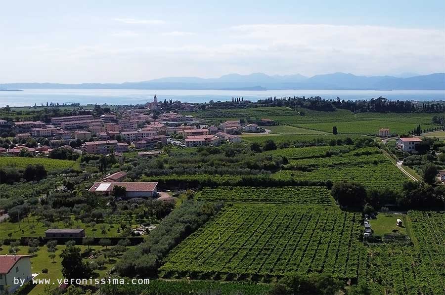 Bardolino vineyards seen from above