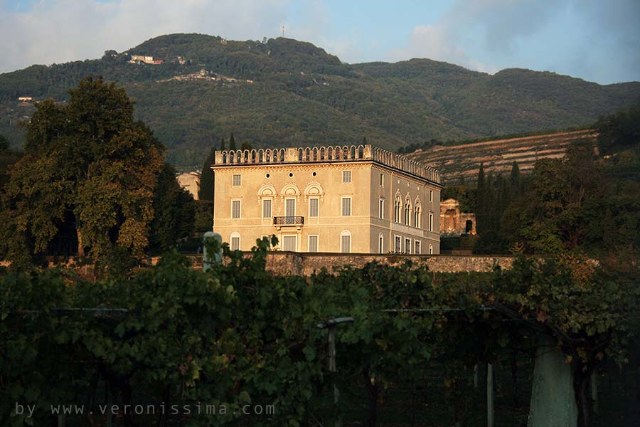 view of villa rizzardi from far away and part of the vineyard title=