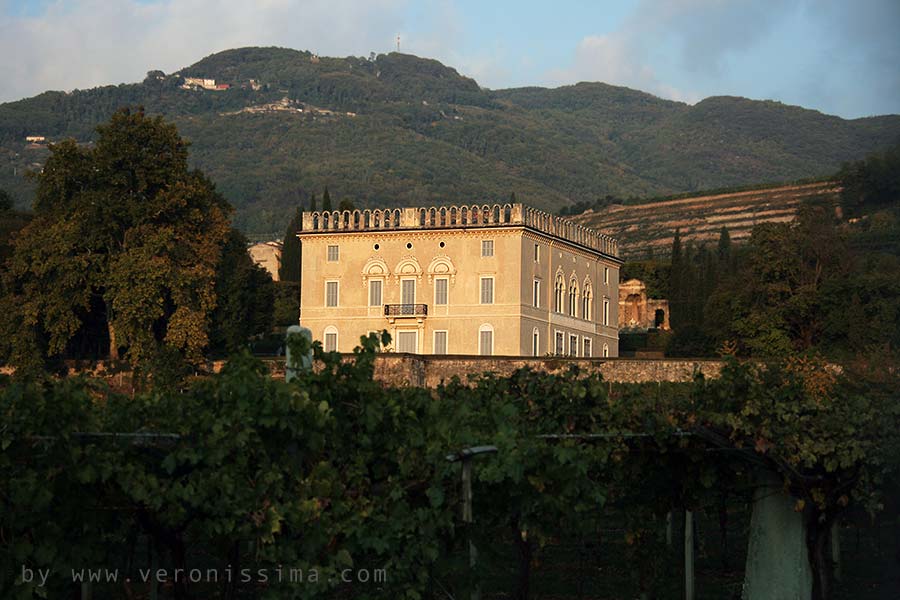 villa rizzardi vista in lontananza con una porzione del vigneto