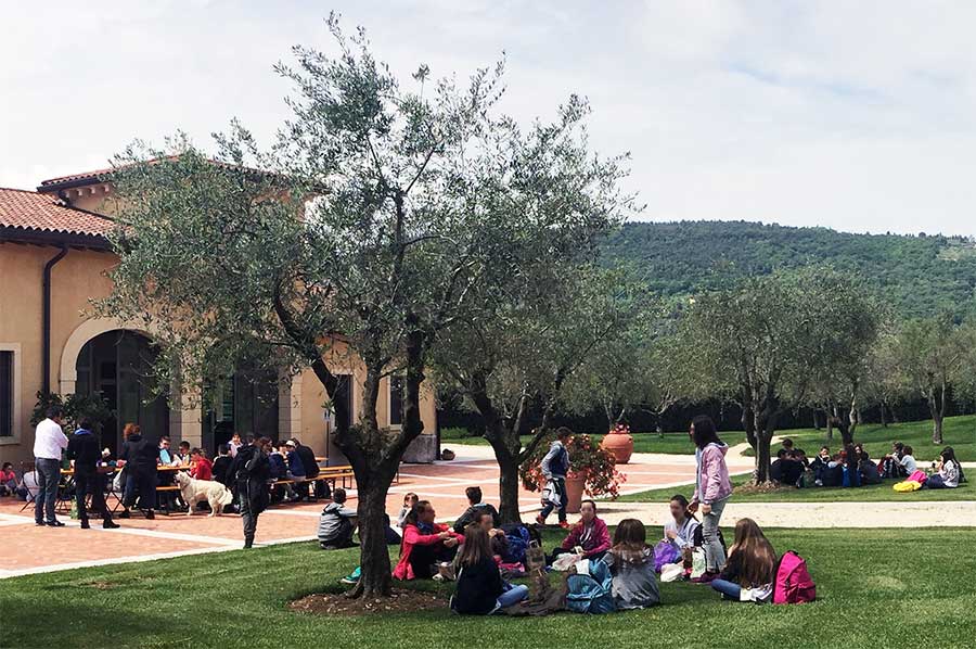 ragazzi fanno un pic nic seduti sul prato di un uliveto