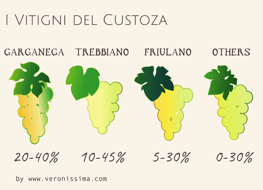 grafica con le percentuali dei vitigni del Custoza