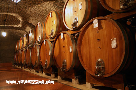 vino verona